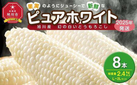 【先行予約】白いとうもろこしピュアホワイト 8本 2.4kg(2025年8月下旬～発送開始予定) | とうもろこし とうもろこし とうもろこし とうもろこし とうもろこし コーン  コーン  コーン  コーン  コーン _04559