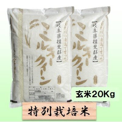 【ふるさと納税】特別栽培米 【 令和8年産 】 玄米 20kg【 ミルキークイーン 】　お届け：2026年10月中旬以降発送