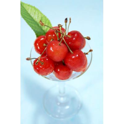 ふるさと納税 寒河江市 母の日 寒河江市 ハウスさくらんぼ 佐藤錦 秀品 L玉100g×2パック&バラ(生花)付き |  | 02