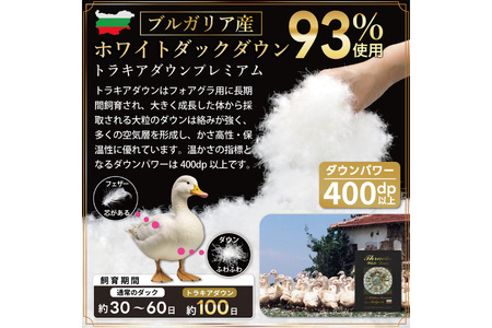 洗える羽毛肌掛け布団 ダブル 春夏用 ホワイトダック93% ネイビー ダウンケット羽毛布団 日本製 [川村羽毛 山梨県 韮崎市 20742694] 布団 ふとん 羽毛 肌掛け ダウンケット 寝具 国産