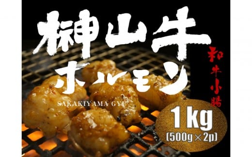 
            【1週間以内に発送！】 超希少和牛「榊山牛」ホルモン（小腸）焼肉・もつ鍋用 1kg　広島県内最高級和牛 新鮮 ぷりぷりホルモン グルメ 美食
          
