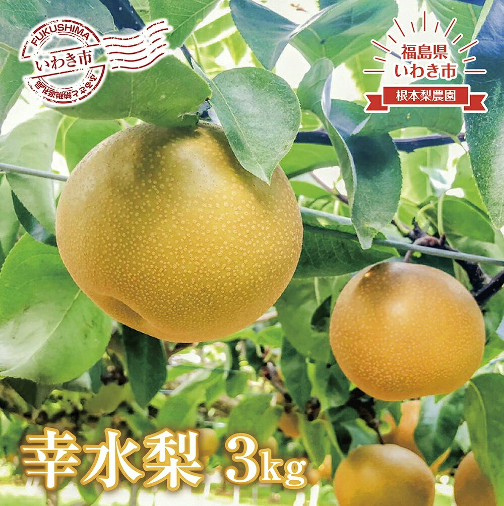【ふるさと納税】《 先行予約 》 福島県 いわき市産 梨（ 幸水 ）3kg ｜ フルーツ 果物 くだもの 食品 人気 おすすめ 送料無料
