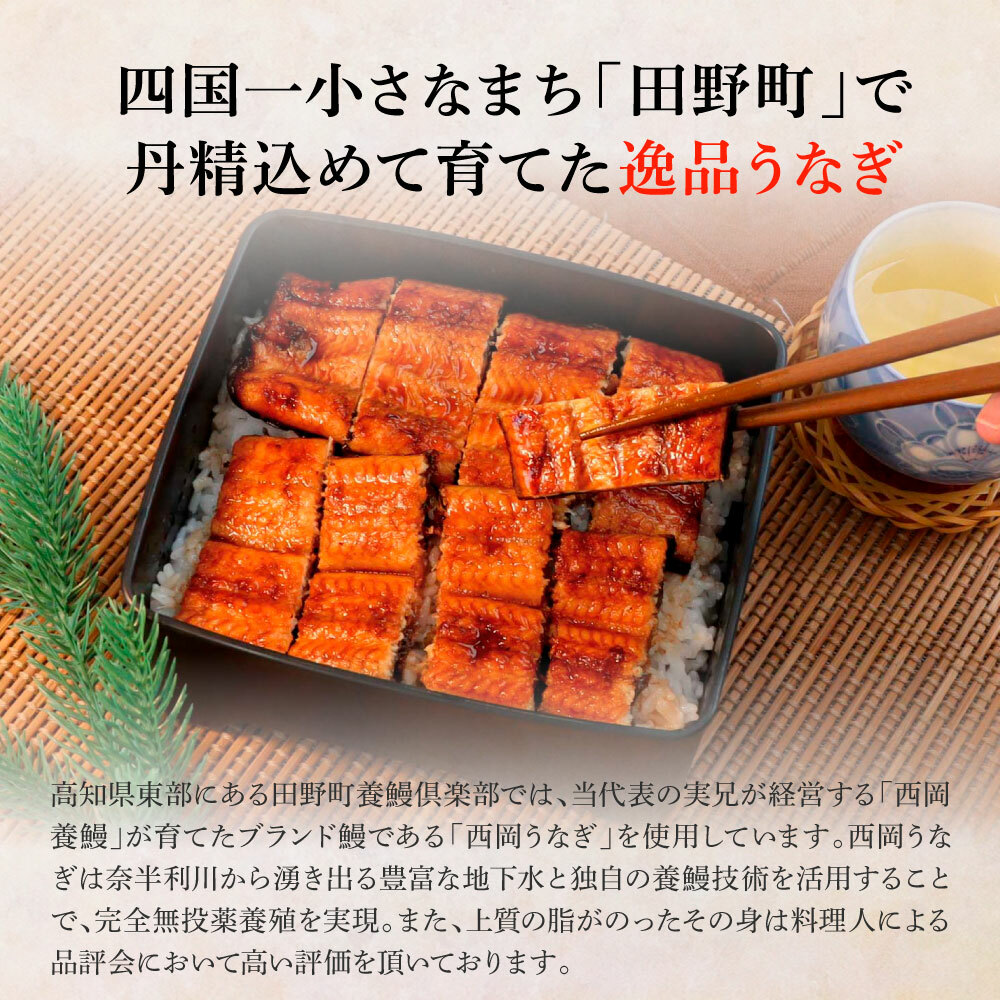 田野町産うなぎの蒲焼き(小) 2尾×3回 定期便 3ヶ月 定期コース 1尾あたり90～120g タレ付き 山椒付き うなぎ 鰻 ウナギ 蒲焼き かば焼き 無頭 おいしい 国産 お取り寄せ 冷凍 配送_