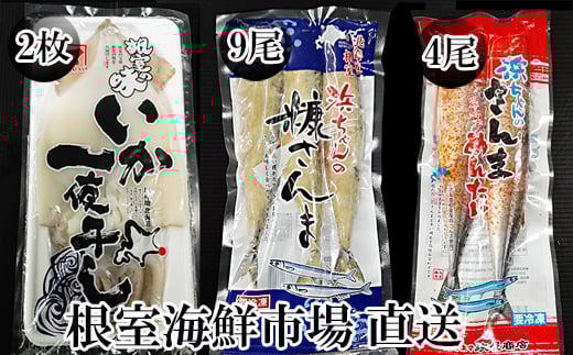 A-11257【年内配送可】 【北海道根室産】いか一夜干し2枚・さんま明太4尾・糠さんま9尾
