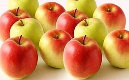 【2026年発送】さとう果樹園のくだものフェアＡ【6月･9月･11月定期便】