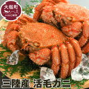 【ふるさと納税】【令和7年発送】三陸産 活毛ガニ 300g～450g 相当×2杯【2025年3月～5月発送】 濃厚 毛ガニ 毛蟹 蟹 カニ 三陸 直送 三陸産 海鮮 魚介 かにみそ 贅沢 海鮮 寿司 ちらし