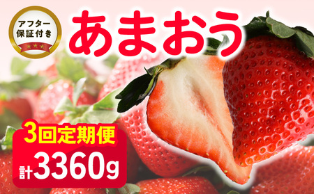 【いちごの定期便】福岡県産 あまおう 合計3,360g (2月・3月・4月の3回 1,120g(280g×4パック))_【定期便】福岡県産 あまおう 2月 3月 4月 3回お届け 1,120g 280g × 4パック 計 3,360g  いちご ブランドいちご 果物 アレンジ おやつ お菓子 苺タルト クッキー フルーツ スイーツ スムージー ジャム お取り寄せ 福岡県 久留米市 送料無料_Fi035