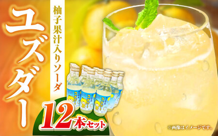 ユズダー12本セット[APAY001] サイダー サイダー サイダー サイダー サイダー 