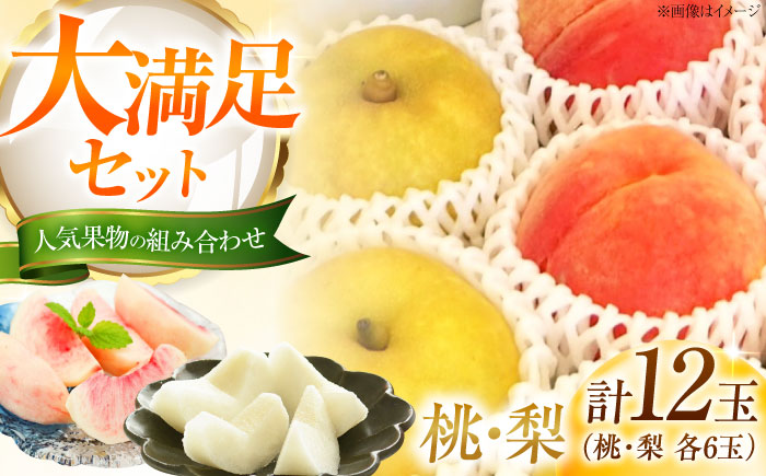 【先行予約】 藤渕果樹園の桃・梨セット 各6玉 〈2026年8月～発送〉 ／ 桃 もも 梨 なし フルーツ 果物 くだもの 季節のフルーツ 【株式会社内子フレッシュパークからり】 [BKAD077]