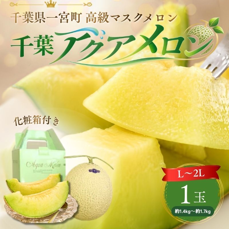 【ふるさと納税】高級マスクメロン　千葉アクアメロン　1玉　L～2Lサイズ　千葉県産　化粧箱入り　生産者直送