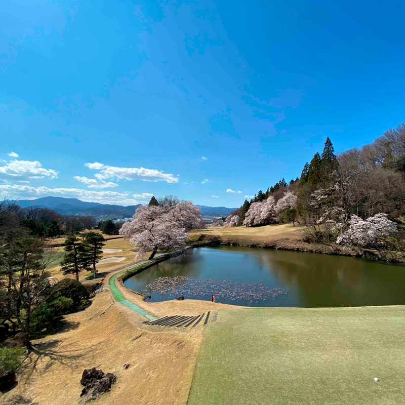 蔵王カントリークラブプレー券 (平日1名様分) ゴルフ ゴル