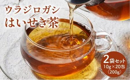ウラジロガシ はいせき茶　2袋セット