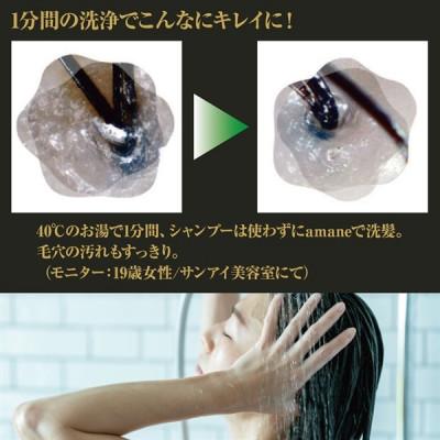 ふるさと納税 山県市 シャワーヘッド amane スタンダード ホワイト(高洗浄力・節水・節ガス) |  | 02