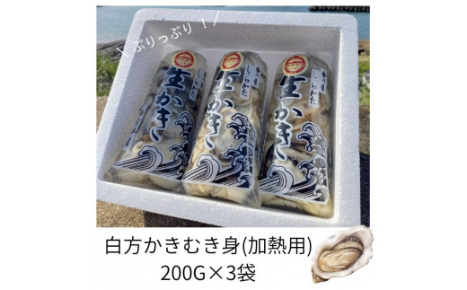 香川県 多度津町産 白方かき むき身（加熱用）200g×3袋【令和7年1月頃から4月頃までの期間限定出荷】【L-30】