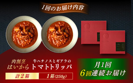 【6回定期便】【ギフト箱無しでその分お得】肉割烹はいから 『牛ハチノスとギアラのトマトトリッパ』2個セット / レトルト 牛肉 / 恵那市 / TWO-FACE JAPAN[AUFI042]