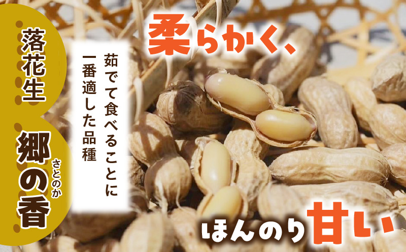 《2027年7月～発送》塩茹で専用！生落花生『300g×4パック』・S062-115