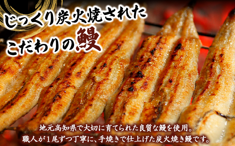 【２回定期便】炭火手焼のうなぎ蒲焼130g×2尾セット 蒲焼のたれ付き Wfb-0025