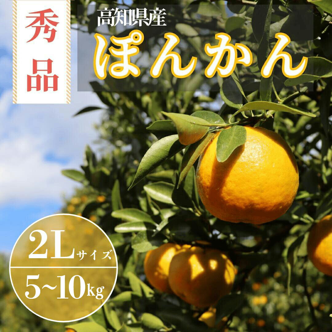 【ふるさと納税】徳村の秀品ぽんかん ＜選べる容量＞ 国産 東洋町産 訳アリ 甘い コク ジューシー 果肉 高知県 東洋町 四国 お取り寄せ フルーツ 果物 家庭用 自宅用 送料無料