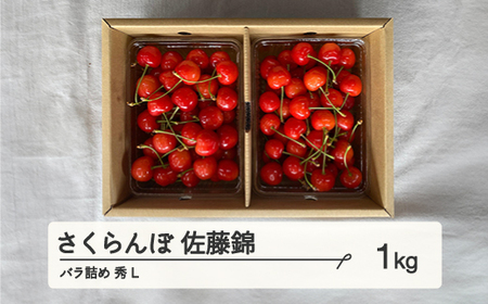 《先行予約》2025年 山形県産 さくらんぼ 佐藤錦 バラ詰め 1kg 秀 L サクランボ フルーツ F21A-335