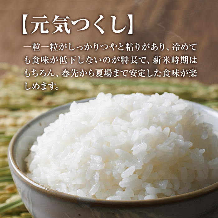 ＜数量限定＞JAよりお届け！福岡県産米 元気つくし (計5kg)お米 おこめ 米 こめ コメ 白米 福岡県産 ブランド米 常温 常温保存【農産物直売所ほたるの里】【ksg1813】