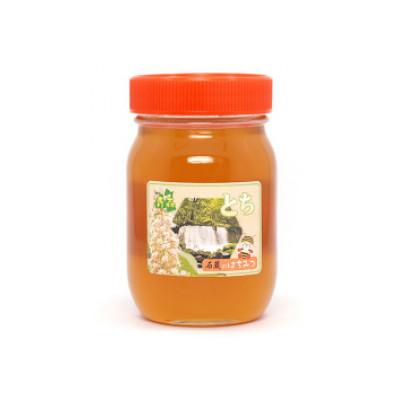 ふるさと納税 おいらせ町 トチはちみつ500g |  | 01
