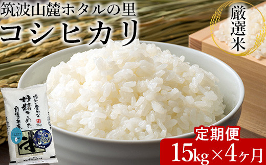 【定期便 4ヶ月】令和7年産 筑波山麓ホタルの里厳選米コシヒカリ15kg 透き通った大粒米 ※離島への配送不可 ※2025年10月下旬頃より順次発送予定