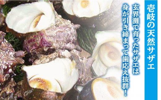 サザエのつぼ焼き 6個×3パック（計18個）《壱岐市》【天下御免】[JDB002] さざえ サザエ 栄螺 つぼ焼き BBQ 海鮮 貝 魚介 冷凍配送 15000 15000円 