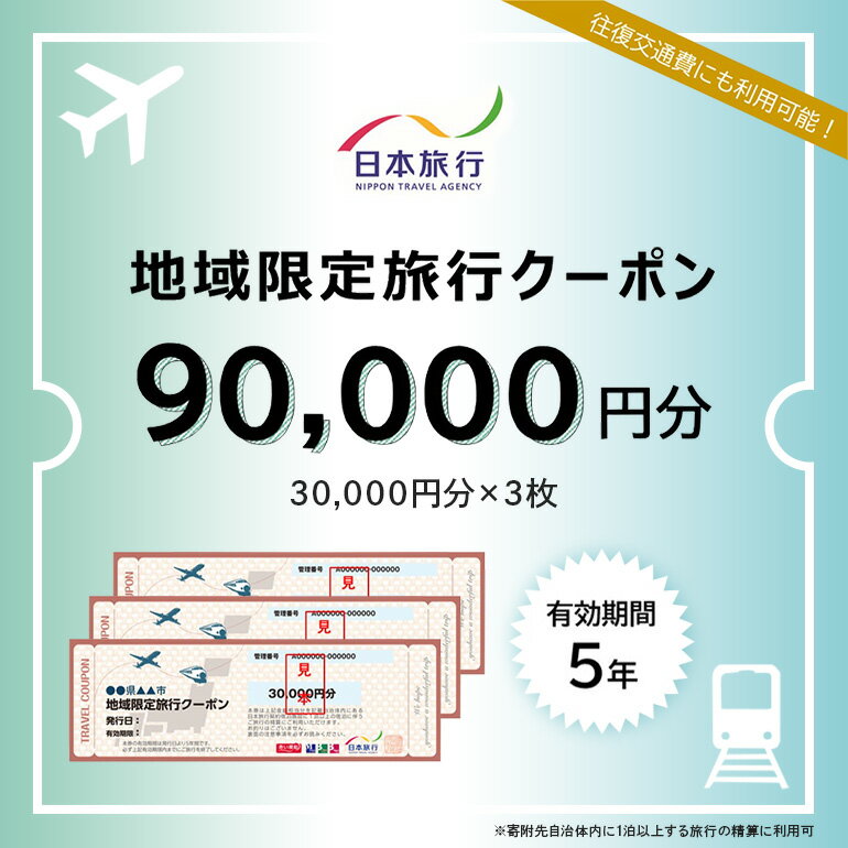 【ふるさと納税】 地域限定旅行クーポン 90,000円分 193-3