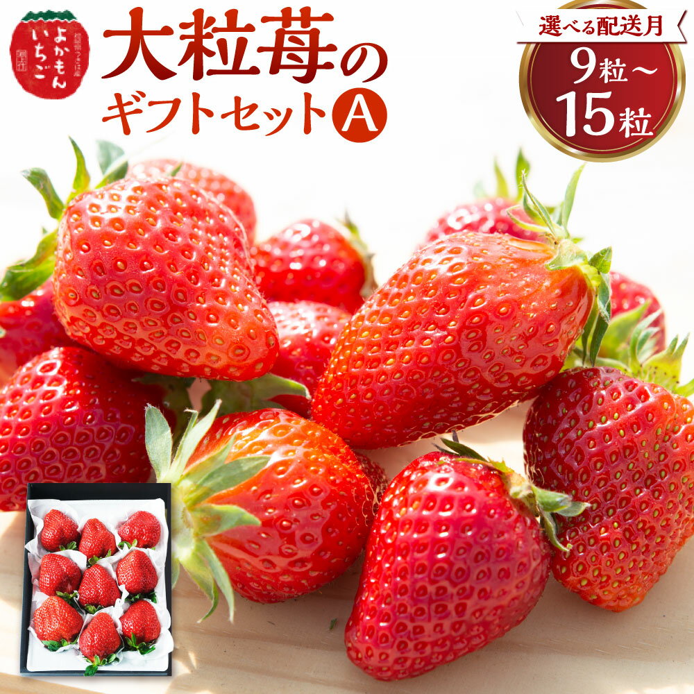 【ふるさと納税】【選べる発送時期】よかもんいちご 大粒苺のギフトセットA いちご 苺 フルーツ 【2026年2月から2026年4月まで順次発送予定】送料無料 福岡県 うきは市