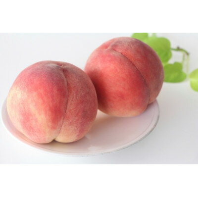 【ふるさと納税】【2025年発送】長野県北信州の桃 3kg(8～12玉) 品種おまかせ　贈答にもおすすめ_ 桃 もも 果物 くだもの フルーツ 人気 おすすめ 送料無料 産地直送 贈答 ギフト 長野 信州 【配送不可地域：離島】【1575720】