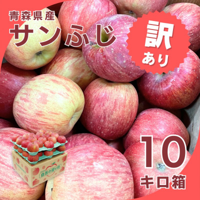 【令和7年1月下旬頃発送】産地直送 青森県産 訳ありサンふじ10キロ箱 26～46玉 青森県産りんご【配送不可地域：離島・沖縄】【1288124】