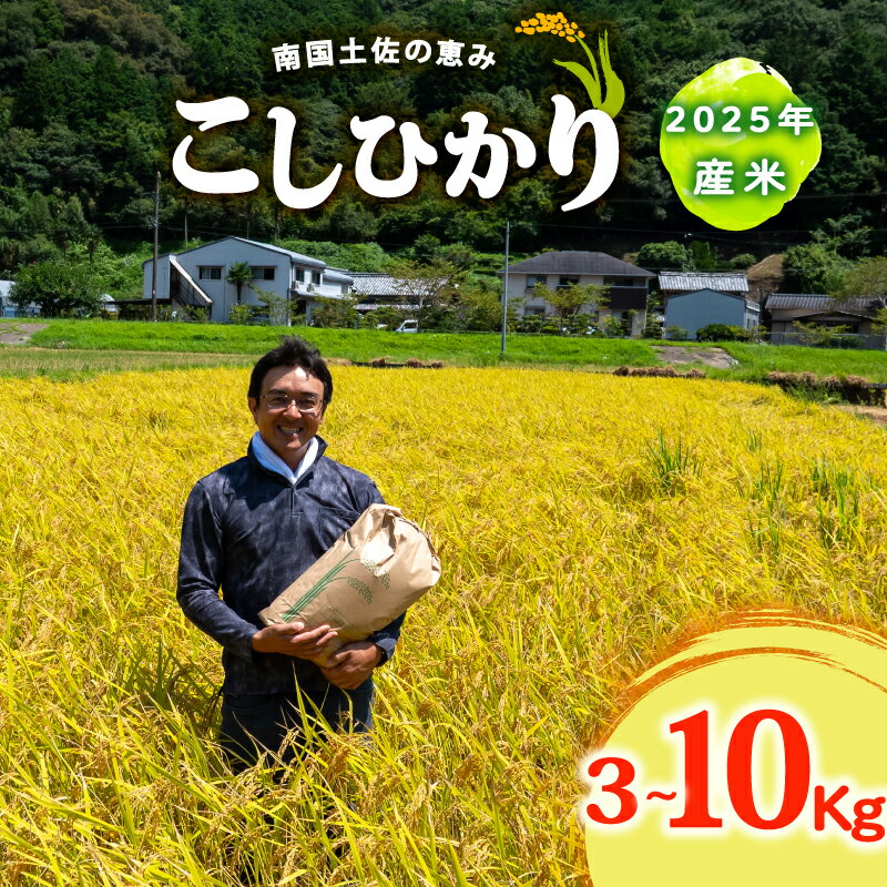 【ふるさと納税】 コシヒカリ 選べる 3Kg 5Kg 10Kg 2025年産 産地直送 高知県産 白米 精米 こしひかり 米 常温 配送 ブランド米 国産 米 早場米 人気 天然 恵み 心 高知県 須崎 SI001