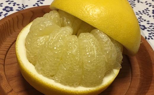 
                  【 先行予約 】 土佐文旦 5kg 家庭用 M ~ 5L 文旦 ジャム ぶんたん みかん 高知 フルーツ スイーツ 蜜柑 お 国産 先行 お菓子 ケーキ 清家農園 宿毛市 高知県 特別栽培 農薬不使用
                