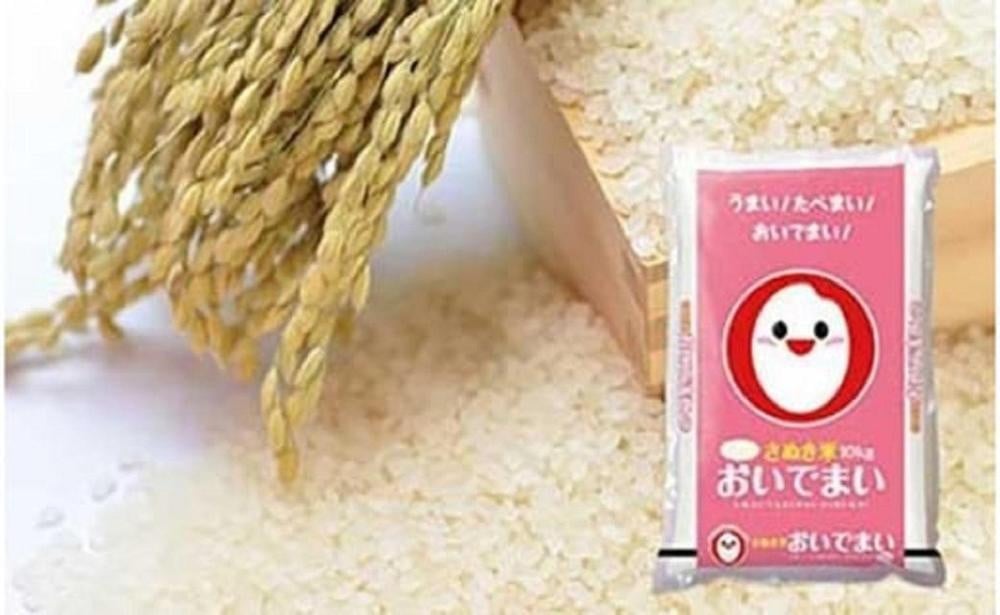 
            【さぬき米】令和6年産　おいでまい 5kg
          
