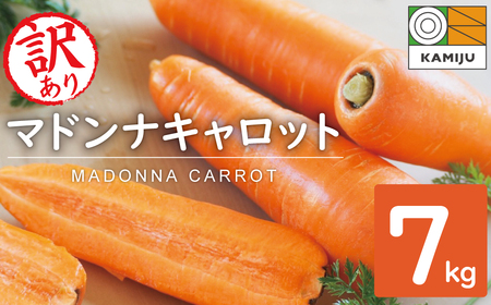 【予約受付】＜フジテレビ『どっちのふるさと？』で紹介されました！＞訳あり！こどもも食べられる甘み！「マドンナキャロット」 7kg にんじん 人参 ニンジン 野菜 やさい 国産 碧南市 健康 食品ロス削減 甘い 先行予約 旬 特産 高評価 高リピート 人気　H105-236