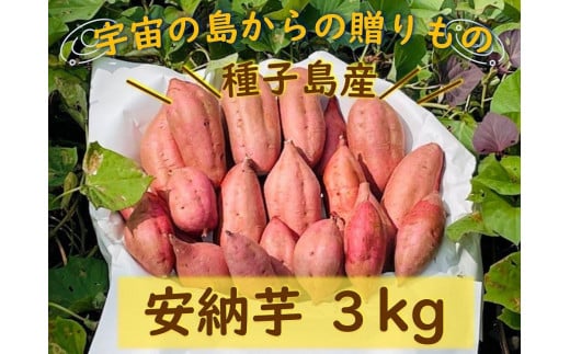 種子島産安納芋3kg【安納芋 安納いも 焼き芋 焼芋 芋 いも やきいも さつまいも さつま芋 熟成 蜜 しっとり 甘い 安納いも 国産 鹿児島県産 種子島産 中種子町 種子島安納 送料無料 N161】