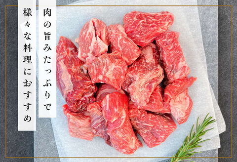 《佐賀牛》梁井 旨味たっぷり ネック＆スネ肉 600g【佐賀牛 スジ肉 赤身 コラーゲン ぷるぷる ほろほろ トロける スネ すね 煮込み料理 カレー シチュー 美味しい ブランド肉】 A3-A081