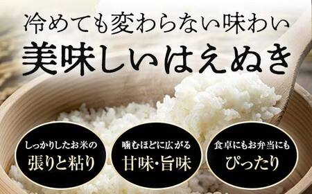 FYN1-954 【11月前半発送】令和7年産 新米 山形県産 はえぬき 10kg 2025年 お米 米 米米 ごはん ご飯 白米 国産 ブランド米 節水 時短 冷めてもおいしい贈答 ギフト 家庭用 