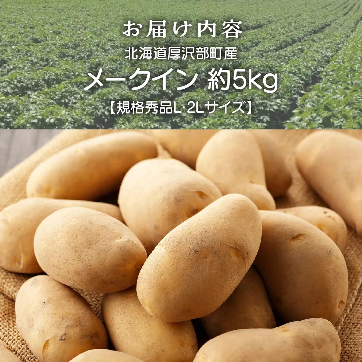 【2026年9月下旬より発送】北海道厚沢部町産 メークイン 約5kg【規格秀品L・2Lサイズ】 ASO036