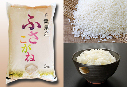 《令和７年産 新米》【米屋新蔵】お米ソムリエ特選 千葉県産『ふさこがね』10kg　[0026-0008]