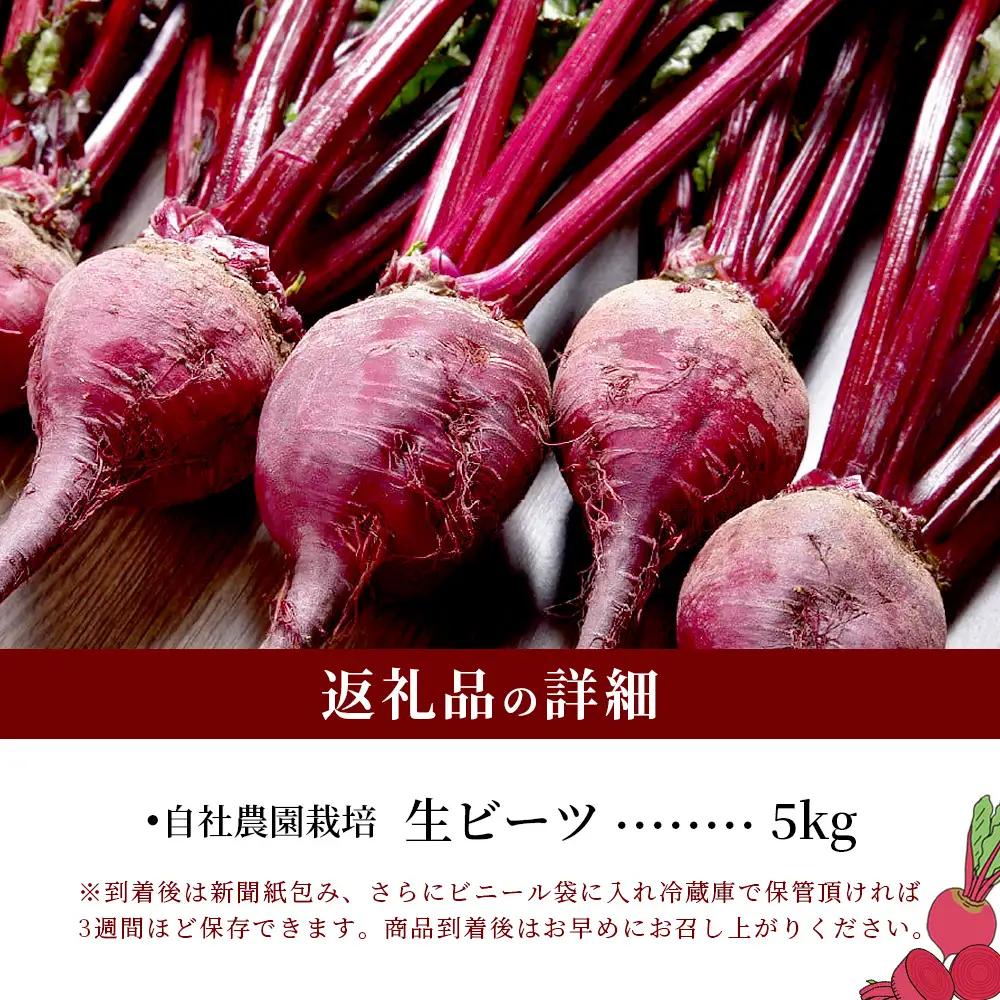 自社農園栽培 生 ビーツ 5kg 熊本県 産 スーパーフード 115-0613
