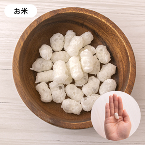 【2ヵ月定期便】いぬのお米のおやつ25g×3袋 いぬのご褒美チップス20g×2袋 ペットフード 犬 無添加 おやつ 美味しい ご褒美 ドッグフード いぬ 犬用 いぬ用 愛犬用 R030-015