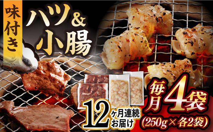 
            【全12回定期便】【塩だれ】九州産和牛 ホルモン 2種 計1kg（ ハツ 250g×2袋・ 小腸 250g×2袋） 長与町/岩永ホルモン [EAX141] ホルモン焼き 国産 牛肉 ホルモン ミックス 小分け 味付き 冷凍 焼肉 焼き肉 和牛 塩 しお 牛 定期便 ていきびん 定期
          