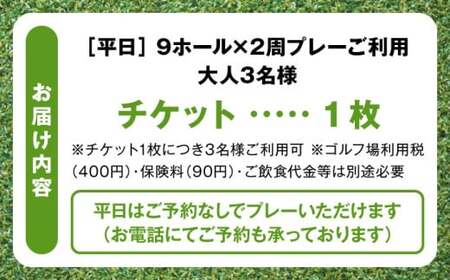 平日大人３名様９ホール２周ゴルフプレー券 ／ ゴルフ 【(株)葉山産業】[ASAS005]
