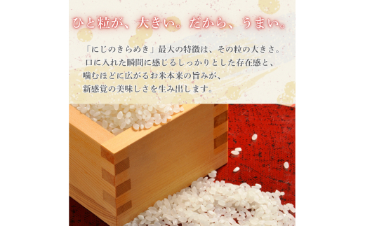 【12カ月定期便】にじのきらめき 5kg（茨城県共通返礼品・城里町産） / 米 こめ コメ お米 おこめ コシヒカリ にじのきらめき 白米 精米 ごはん ご飯 令和7年産 5kg 定期便 茨城県 城里