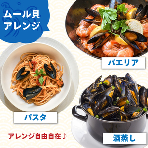 【先行予約】 国産 活ムール貝 3.3kg ＼ ムール貝 ／