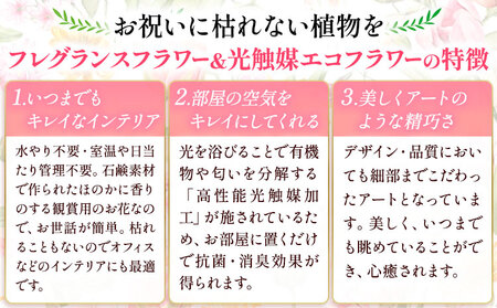 猫の散歩 光触媒エコフラワー×フレグランスフラワー 花