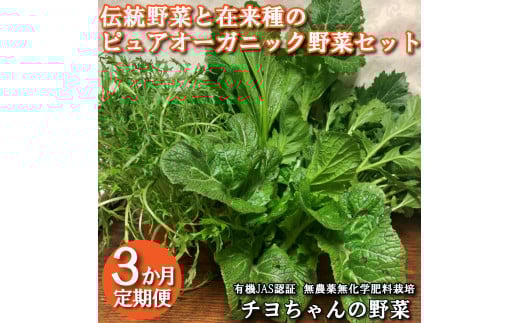 【季節限定】伝統野菜と在来種のピュアオーガニック野菜セット３か月定期便 [1182] 出荷時期は１月～６月末 播州 伝統野菜 無農薬 有機JAS認証
