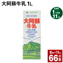 【ふるさと納税】【定期便】【1ヶ月毎11回】大阿蘇牛乳 1L 紙パック 6本 計66本（6本×11回） 牛乳 ミルク 成分無調整牛乳 乳飲料 乳性飲料 熊本県産 国産 九州 熊本県 菊池市 送料無料