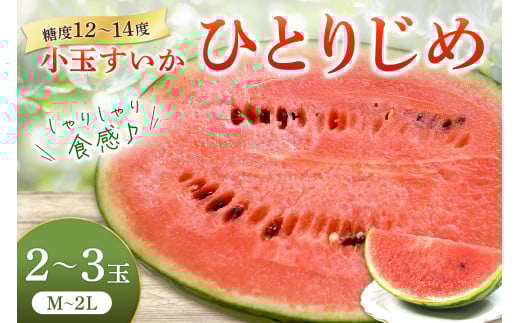 小玉すいか ( ひとりじめ ) 2～3玉 和歌山産 《先行予約》スイカ 西瓜 期間限定 シャリシャリ 皮薄い 果肉 甘い 糖度12～14度 冷蔵庫 八百屋 厳選